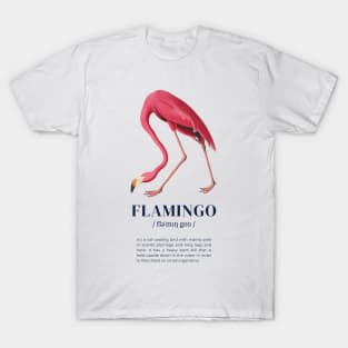 Flamingo - Animal Dictionary Definition T-Shirt